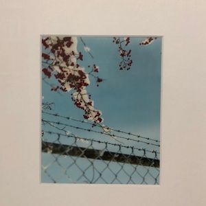 Meet your Posher, Ana